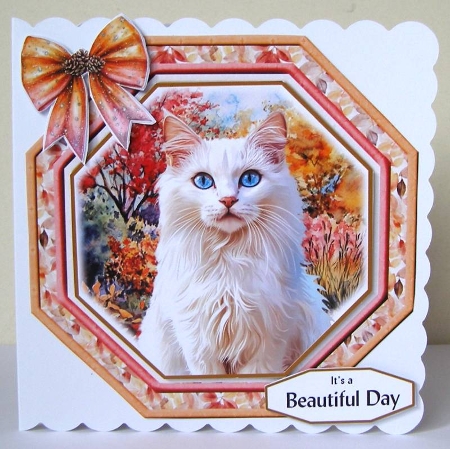 Feline Autumnal 11 by Margaret McCartney