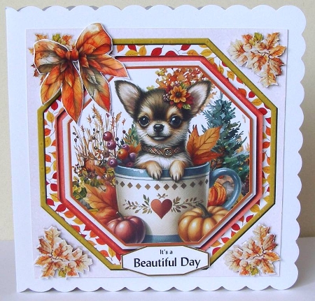 Pawsome Autumn 8 by Margaret McCartney