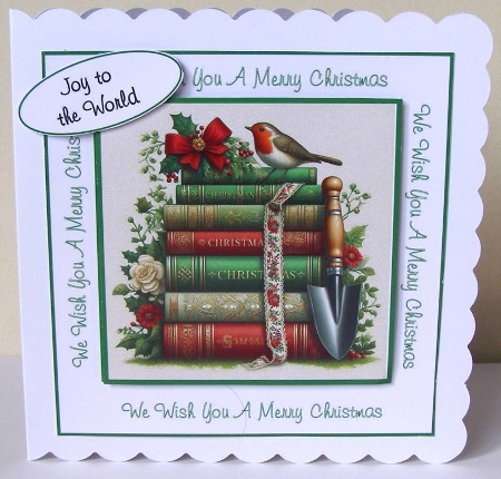 Robin Christmas by Margaret McCartney
