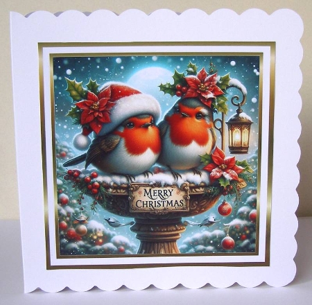 robin 4 by Margaret McCartney