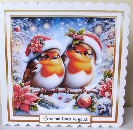 robin 11 by Margaret McCartney