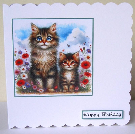 Animals and nature by Margaret McCartney
