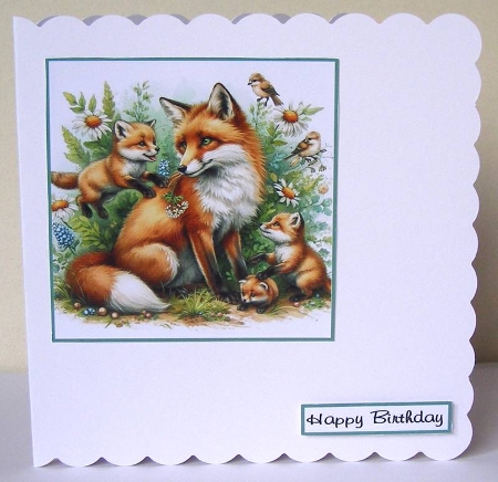 Animals and nature by Margaret McCartney