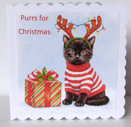 Christmas Gift Cats 4 by Margaret McCartney