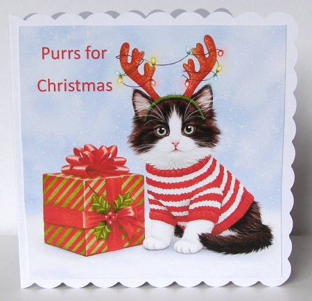 Christmas Gift Cats 4 by Margaret McCartney