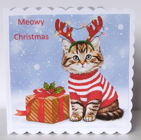 Christmas Gift Cats 4 by Margaret McCartney
