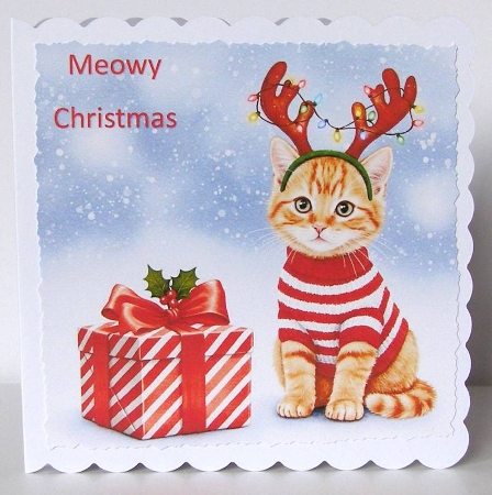 Christmas Gift Cats 4 by Margaret McCartney