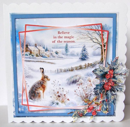 British Wildlife at Christmas by Margaret McCartney
