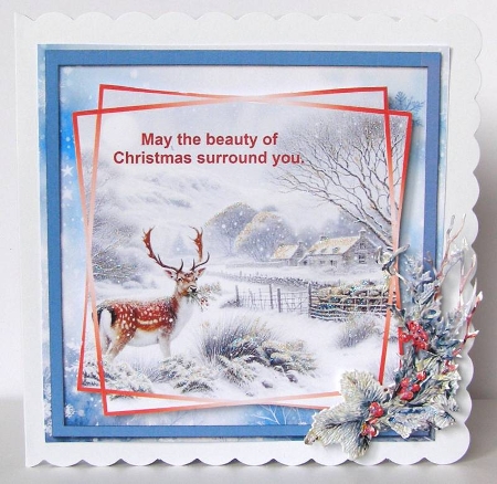 British Wildlife at Christmas by Margaret McCartney
