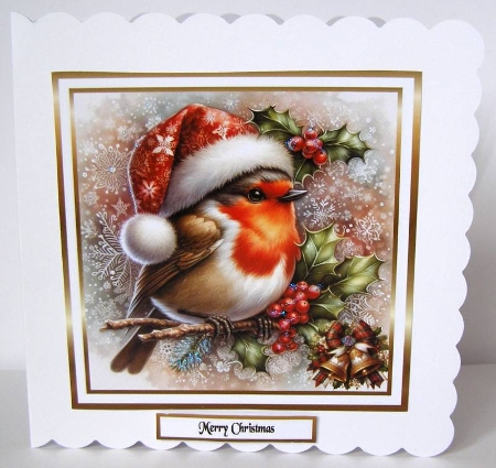 festive birds 9 robin by Margaret McCartney