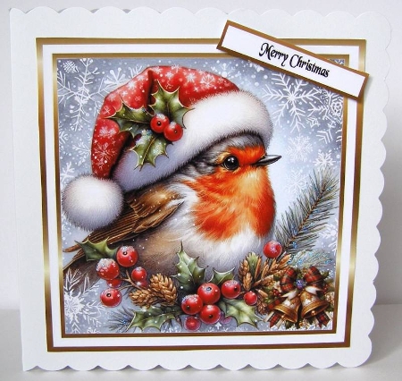 festive birds 10 another  robin by Margaret McCartney
