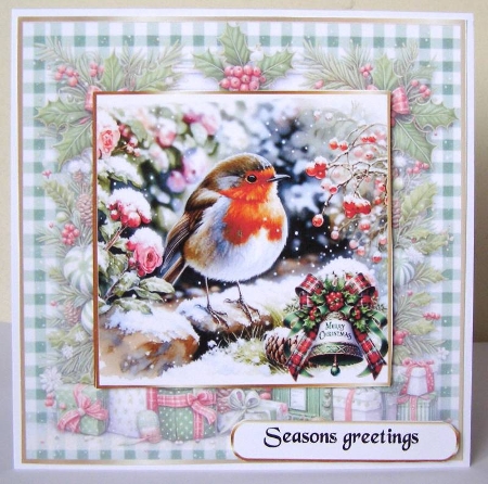 the robin by Margaret McCartney