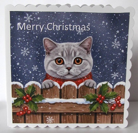 Festive Fence Cats by Margaret McCartney