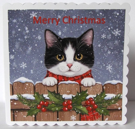 Festive Fence Cats by Margaret McCartney