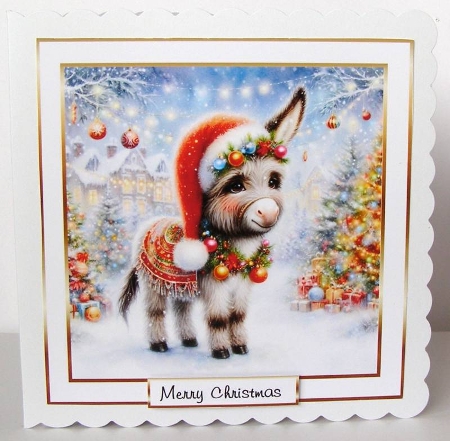 christmas donkey by Margaret McCartney