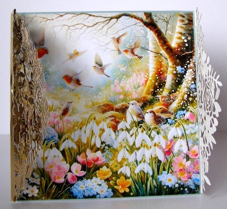 Natures Beauty by Margaret McCartney