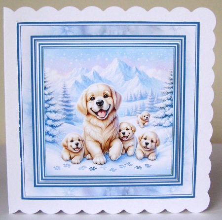 Minikit Mountain Dogs by Margaret McCartney