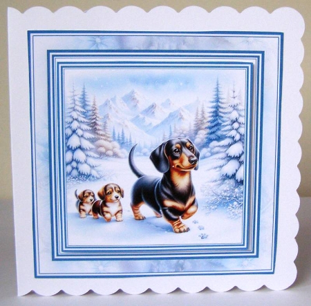 Minikit Mountain Dogs by Margaret McCartney