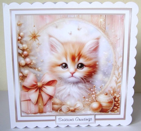 soft colours at christmas ginger kitten by Margaret McCartney