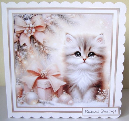 soft colours at christmas  kitten by Margaret McCartney