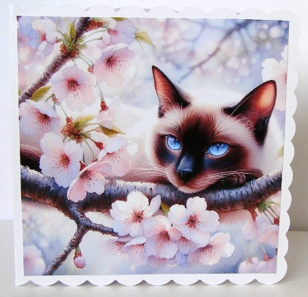 Cats and kittens in the cherry blossom (as requested) by Margaret McCartney