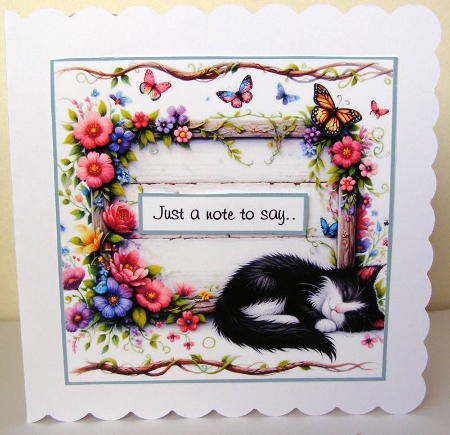 fox and cat by Margaret McCartney