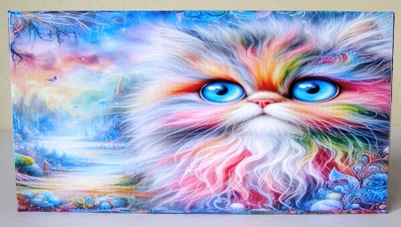 The Colourful Cat Gift bag, Money wallet, Tag, Bauble, Gift Card, Envelope. by Margaret McCartney