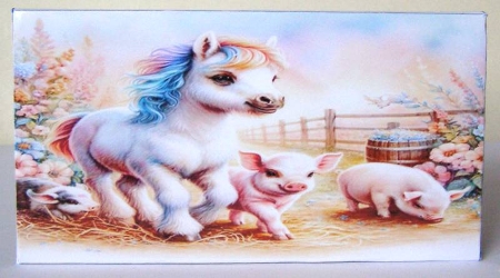 Stroll Around The Farmyard by Margaret McCartney