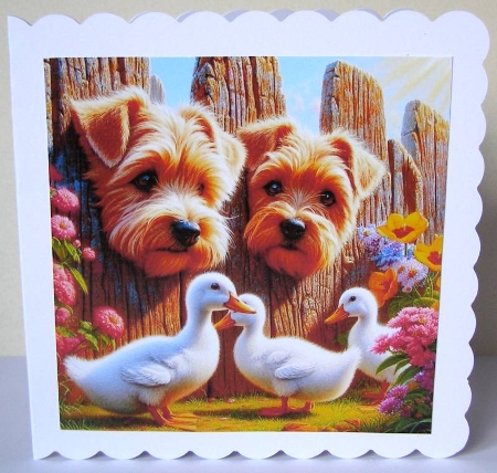 20+ dogs and ducks by Margaret McCartney