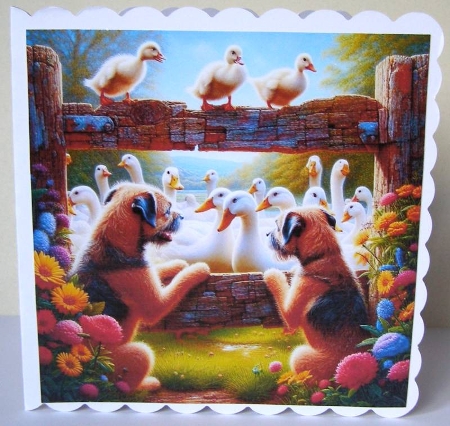 20+ dogs and ducks by Margaret McCartney