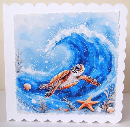 Sea turtles by Margaret McCartney