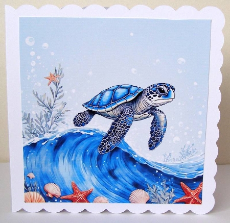 Sea turtles by Margaret McCartney