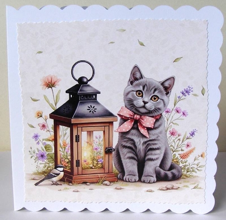 Floral lantern cats  by Margaret McCartney