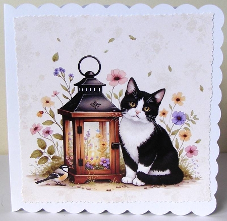 Floral lantern cats  by Margaret McCartney