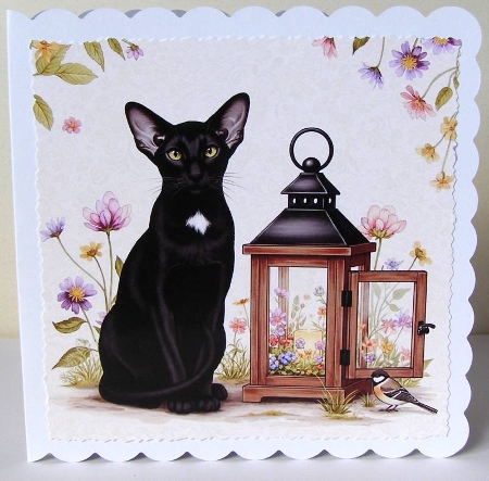 Floral lantern cats  by Margaret McCartney