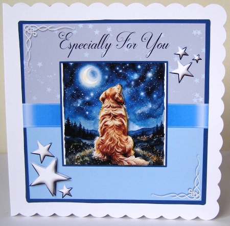 Stargazing Pups by Margaret McCartney