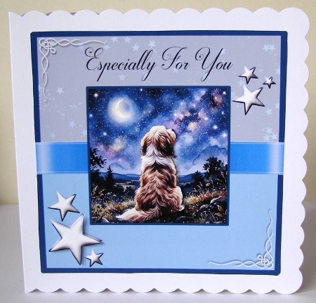 Stargazing Pups by Margaret McCartney