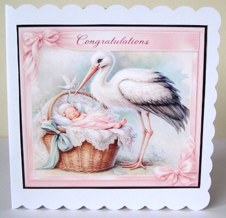Baby girl and stork Featured Gallery Photo