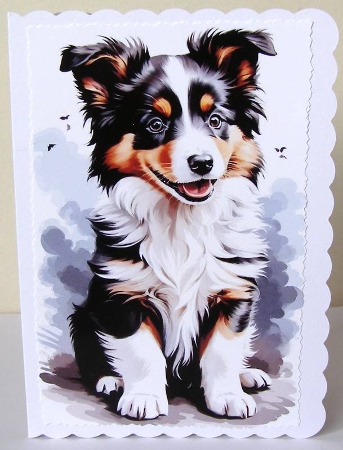 Lovely Black/White Border Collie  Puppy  A4 by Margaret McCartney