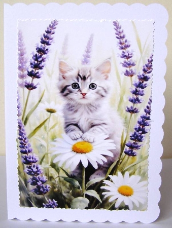 Cute Grey Kitten With Bluebells A4 by Margaret McCartney