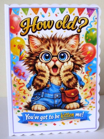you got to be kitten me by Margaret McCartney