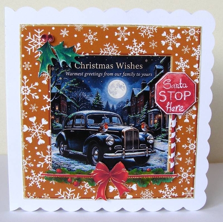 Moonlit Christmas Wishes set 1 2026 by Margaret McCartney