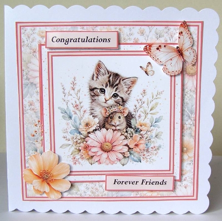 Minikit Unexpected Friends by Margaret McCartney