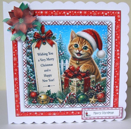Cute Cats at Christmas by Margaret McCartney