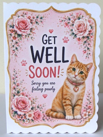 get well kitty pink by Margaret McCartney