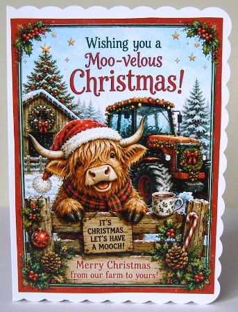 moovelous christmas by Margaret McCartney
