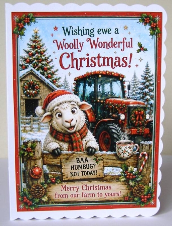 woolly wonderful christmas by Margaret McCartney