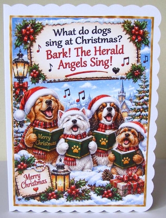 what do dogs sing at christmas ? by Margaret McCartney