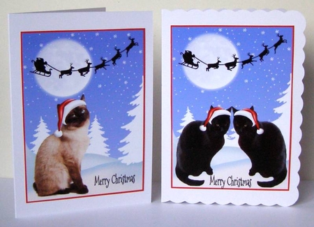 Christmas Cats by Margaret McCartney