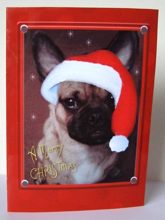 French Bulldog Christmas Card by Margaret McCartney